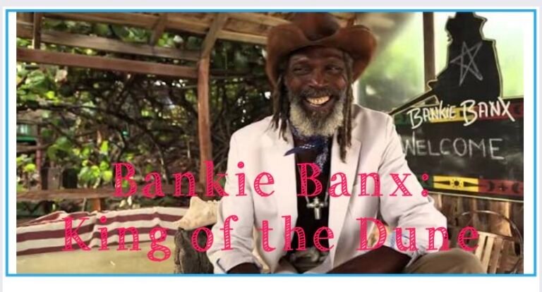 Bankie Banx: King of the Dune